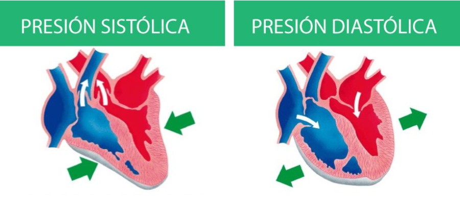 diferencia entre presion sistolica y diastolica